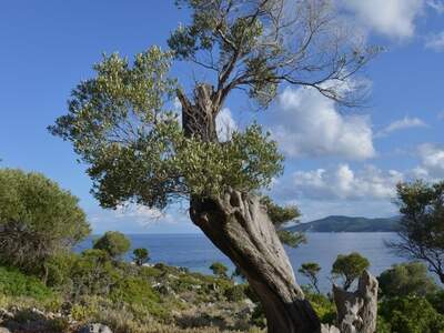 Řecko, Ithaka, Kostelík Ag. Iliias
