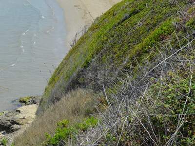Řecko, Korfu, Pláž v letovisku Agios Stefanos