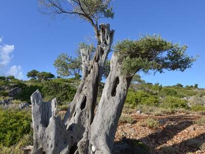 Řecko, Ithaka, Kostelík Ag. Iliias