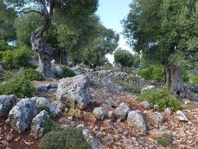 Řecko, Ithaka, Kostelík Ag. Iliias