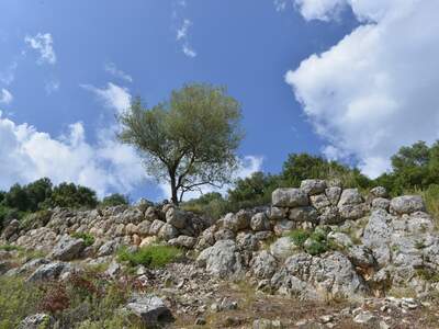 Řecko, Ithaka, Vykopávky Alakomenes